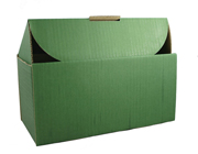 Polytainer MK4 Cardboard Postal Carton