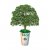 Biodegradable Urn With Seed 5220